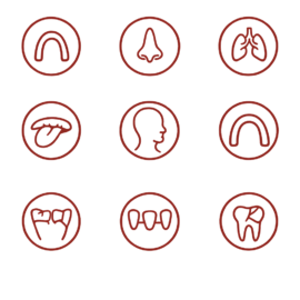 Bekijk deze Observe op BITE Functional Dentistry 